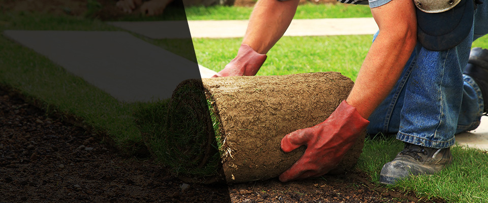 Talbott Landscapers